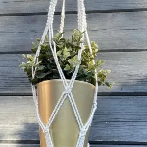 blumenampel 2