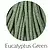 Eucalyptus Green