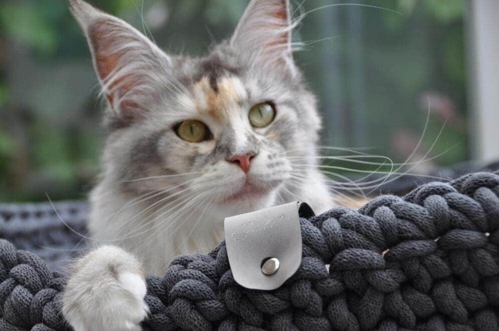 makramee haustierkörbchen