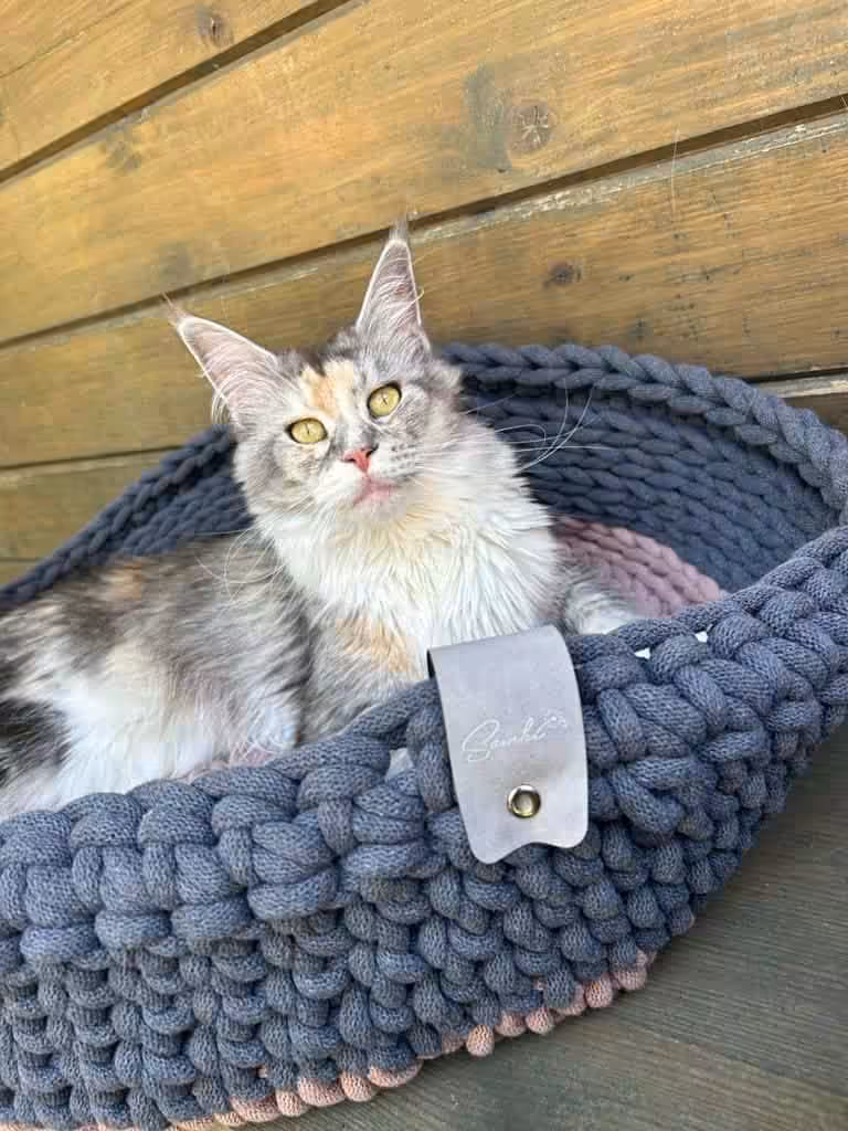 makramee haustierkörbchen