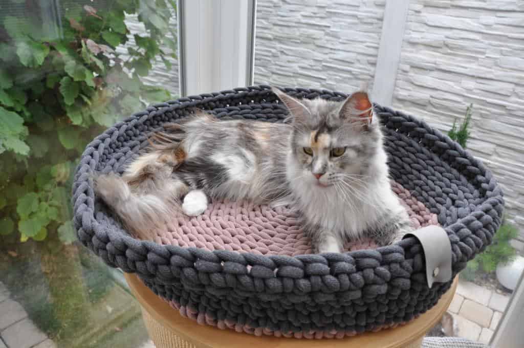 makramee haustierkörbchen