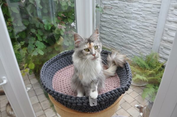 makramee haustierkörbchen