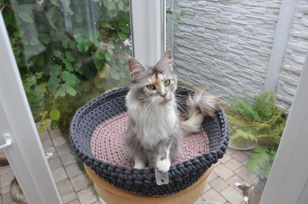 makramee haustierkörbchen